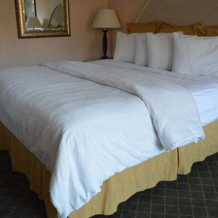 Chapel Hill University Inn Bagian luar foto