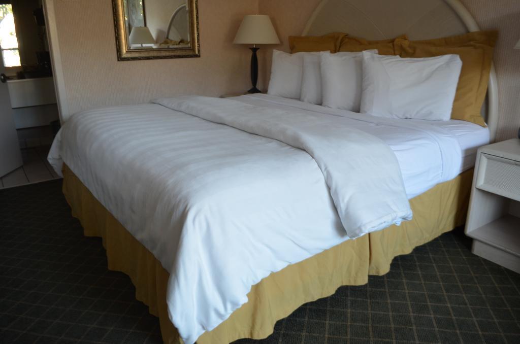 Chapel Hill University Inn Bagian luar foto